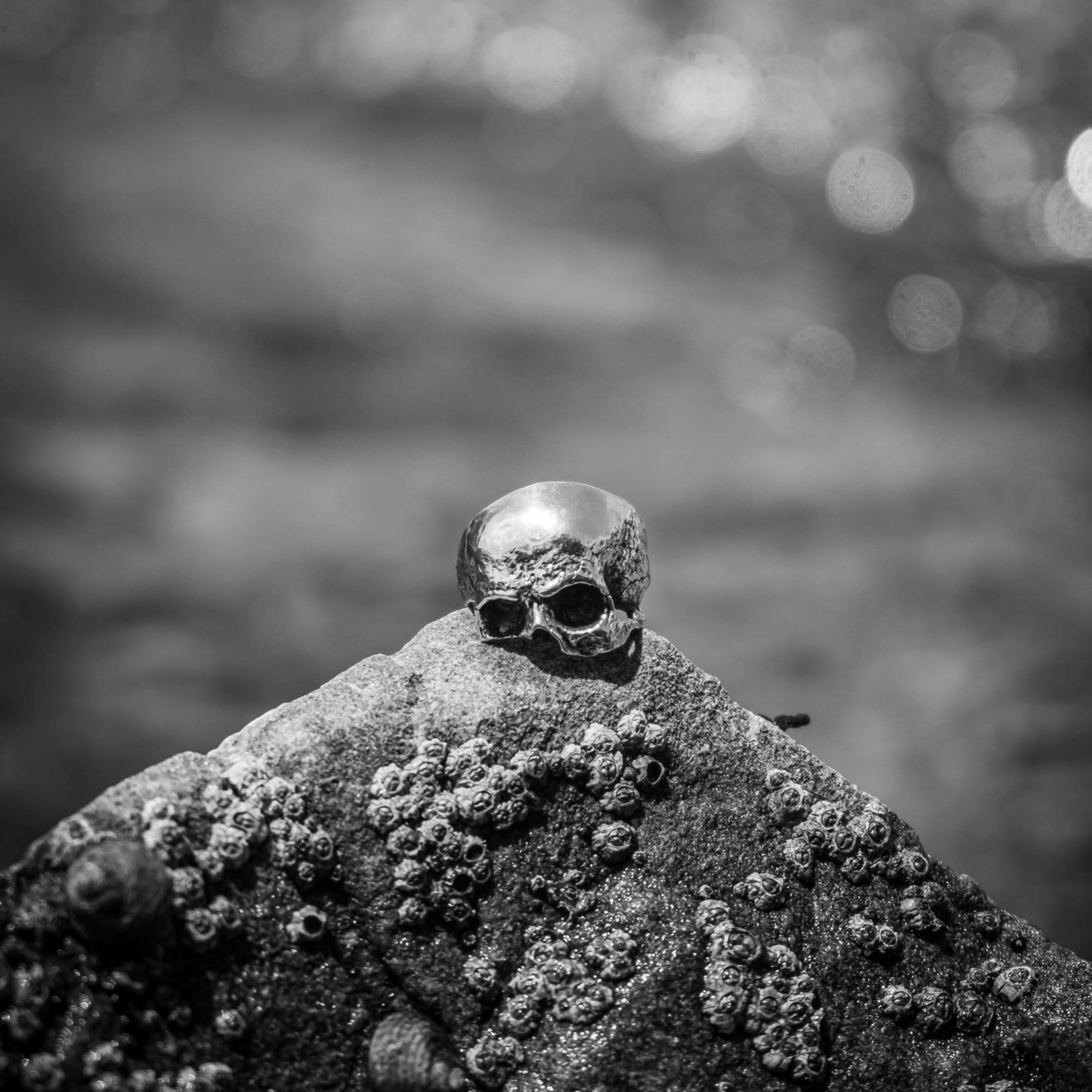 Roger's Skull Ring